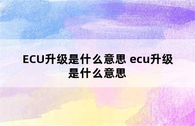 ECU升级是什么意思 ecu升级是什么意思